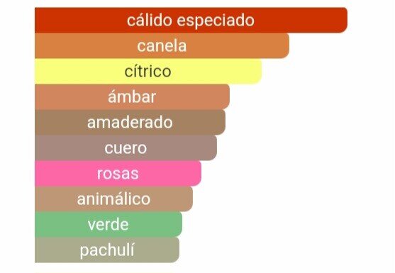 Pirámide olfativa 1 Million notas de mandarina canela y fondo de ámbar Maral Perfumes.