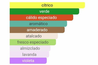 Pirámide olfativa 212 NYC notas de jengibre sándalo y fondo de incienso Maral Perfumes