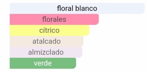 Pirámide olfativa de nuestra inspiración 212 NYC: salida de tallos de flores y bergamota, corazón de gardenia y lirio de los valles, y fondo de almizcle blanco y sándalo.