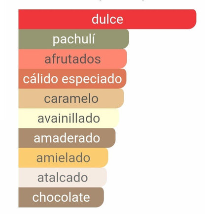 Pirámide olfativa de nuestra inspiración Angel: salida de coco y melón, corazón de miel y bayas rojas, y fondo profundo de chocolate, caramelo y pachulí.