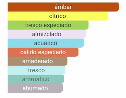 Pirámide olfativa Dylan Blue notas de bergamota pimienta negra y fondo de haba tonka Maral Perfumes.