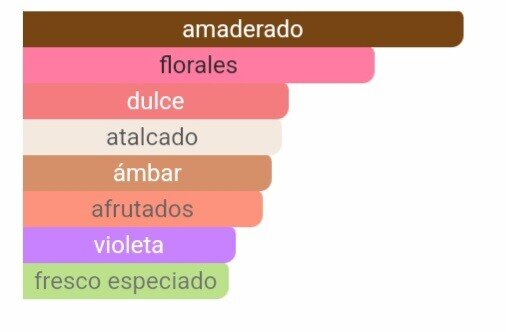 Pirámide olfativa de nuestra inspiración Euphoria: salida de granada y notas verdes, corazón de orquídea negra y flor de loto, y fondo de ámbar, caoba y violeta.