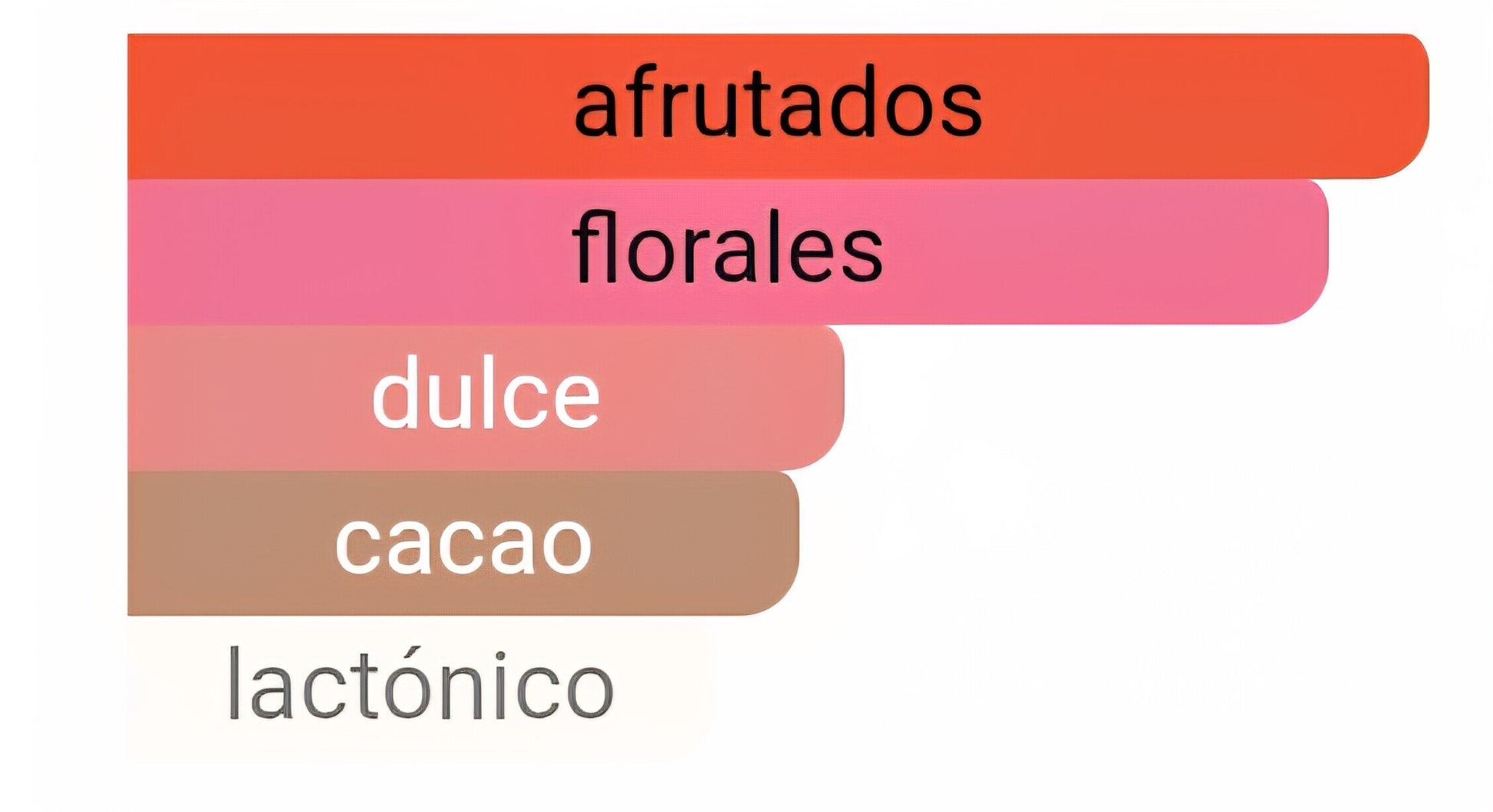 Pirámide olfativa de nuestra inspiración The Scent: salida de melocotón y fresia, corazón de flor de osmanto y fondo adictivo de cacao tostado.