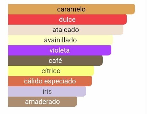 Pirámide olfativa de nuestra inspiración The Only One: salida de violeta y bergamota, corazón de café e iris, y un fondo dulce de vainilla y pachulí.